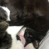 の写真