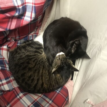 の写真