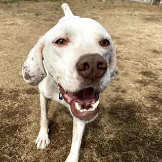 LOVEが溢れる♡Episkey