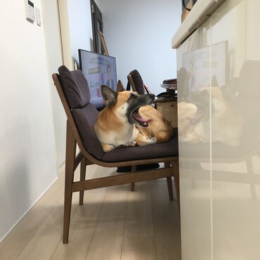 の写真