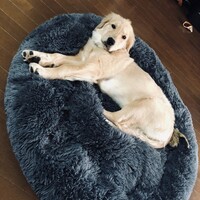 ラテ