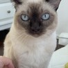 Almond