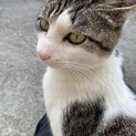 人が大好きスリゴロのスケ