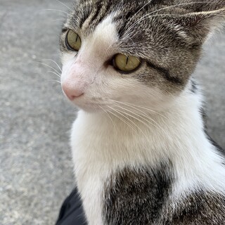 人が大好きスリゴロのスケ
