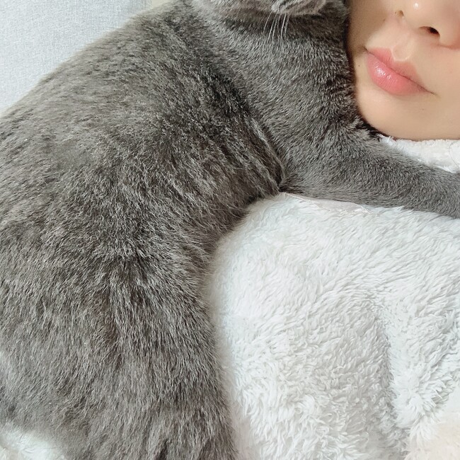 xiaochenのカバー写真