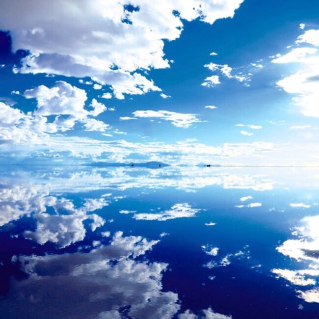 チャボ チャボ のカバー写真