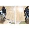 の写真