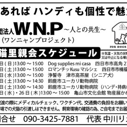 wnpワンニャンプロジェクト犬猫里親会