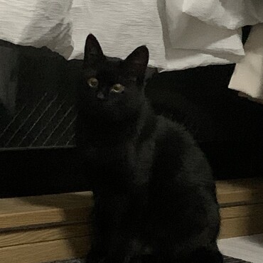 の写真