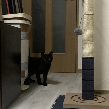 の写真