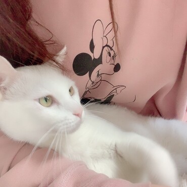 の写真