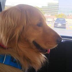 コンビニの無い公園へ