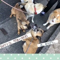 「毎朝のちゅーちゅー」サムネイル2