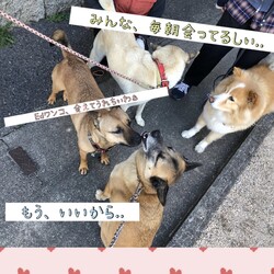 「毎朝のちゅーちゅー」サムネイル3