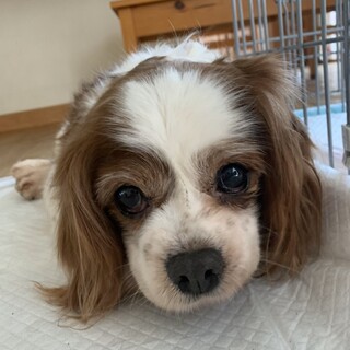 ほんわか♡癒し系キャバのマーティくん