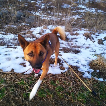 お散歩楽しいね～(*´ω｀*)