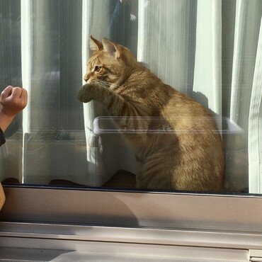 の写真