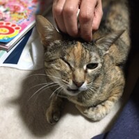 はる