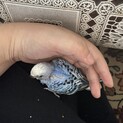 話し合い中です