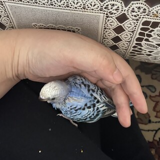 話し合い中です