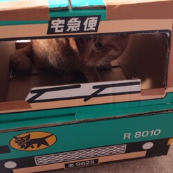 「Julia　2020春！」サムネイル2