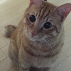 「Julia　2020春！」サムネイル3