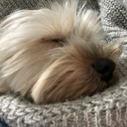 皆さんありがとうー！！