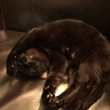 の写真