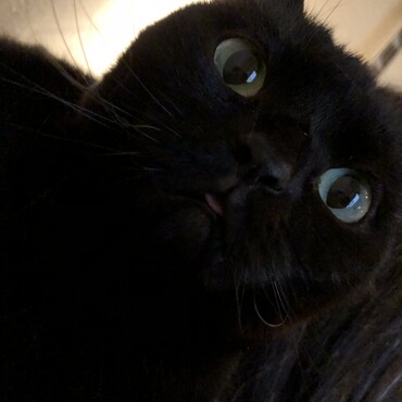 の写真