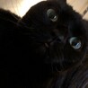 の写真