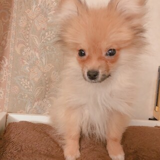 ありがたいことに家族がみつかりました