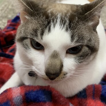 の写真