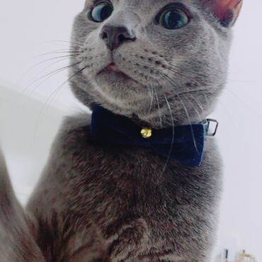 の写真