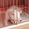 天使みたいな寝顔してんな·····