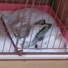 トイレ寝コレクション