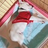ペットシーツを荒らして寝るやつ