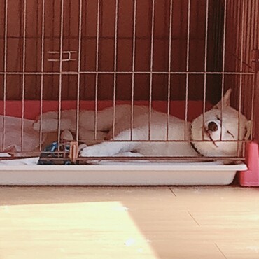 フチを枕にすな