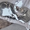 同じ体勢！w