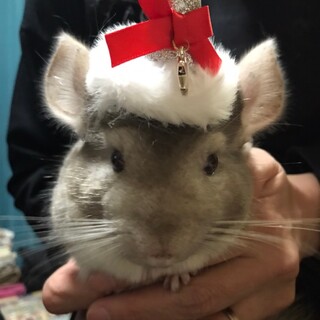 ありがとうございました