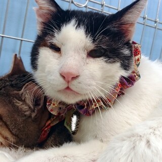 のんび～り、まった～り、マイペースな『とみじ』です