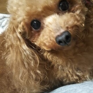 素敵なご縁を頂きました☺️