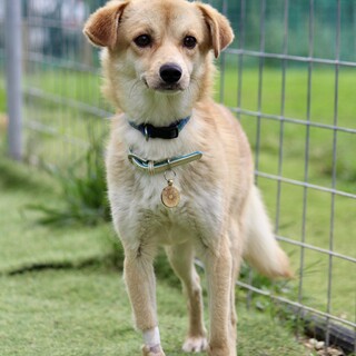 小さくて恥ずかしがり屋の可愛い男の子