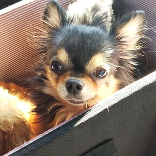 素敵なご縁を頂きました