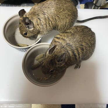 仲良くお食事中(^^)