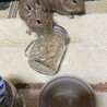 おやつを奪う？？？
