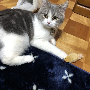 今日も、とったど〜