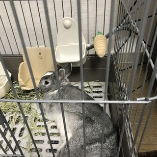 ありがとうございました