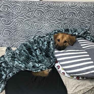 の写真