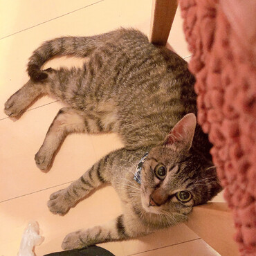 の写真