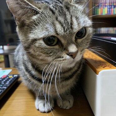 家族になって約3ヶ月